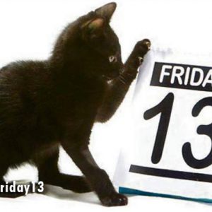 Black cat and friday the 13th calendar